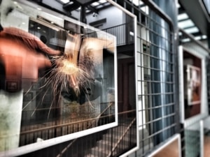 Exposition photos TESTAS @ Hall de la Mairie | Valence d'Agen | Occitanie | France